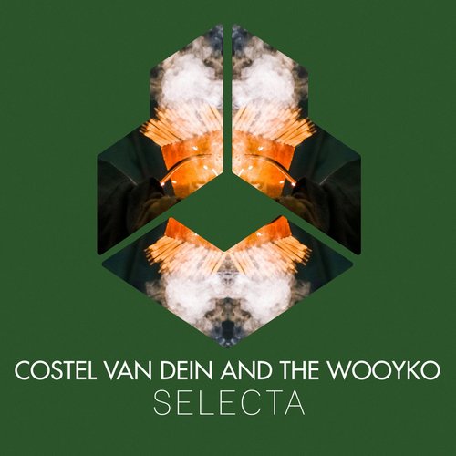 Costel Van Dein, The Wooyko - Selecta [DLR201]